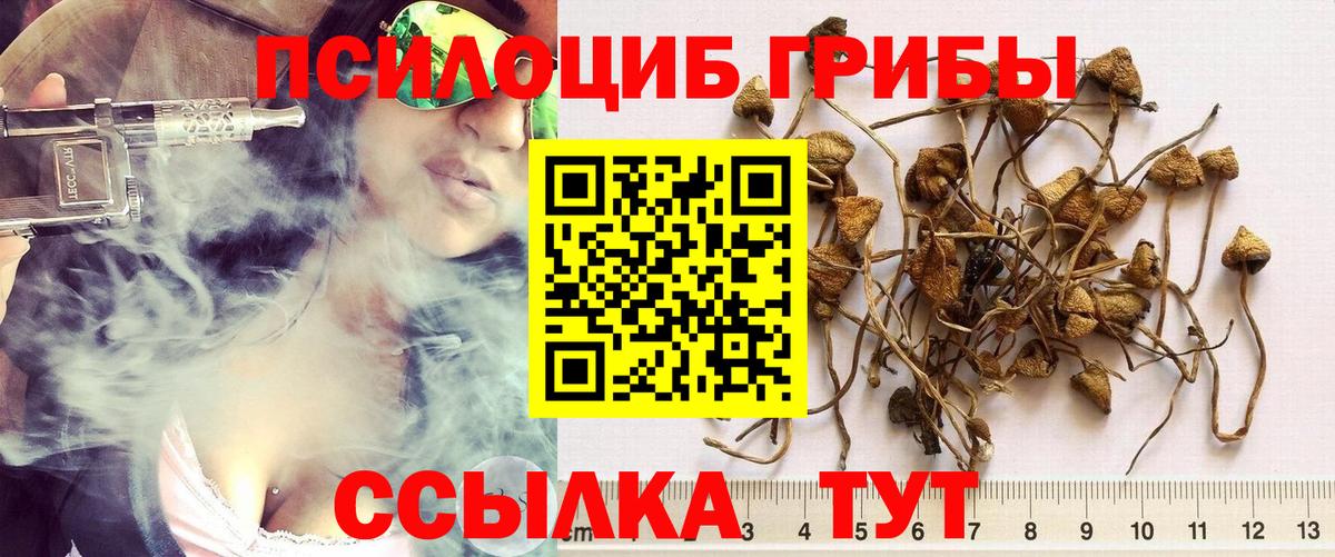 Псилоцибиновые грибы MAGIC MUSHROOMS  цена   Кстово  Вход с VPN 