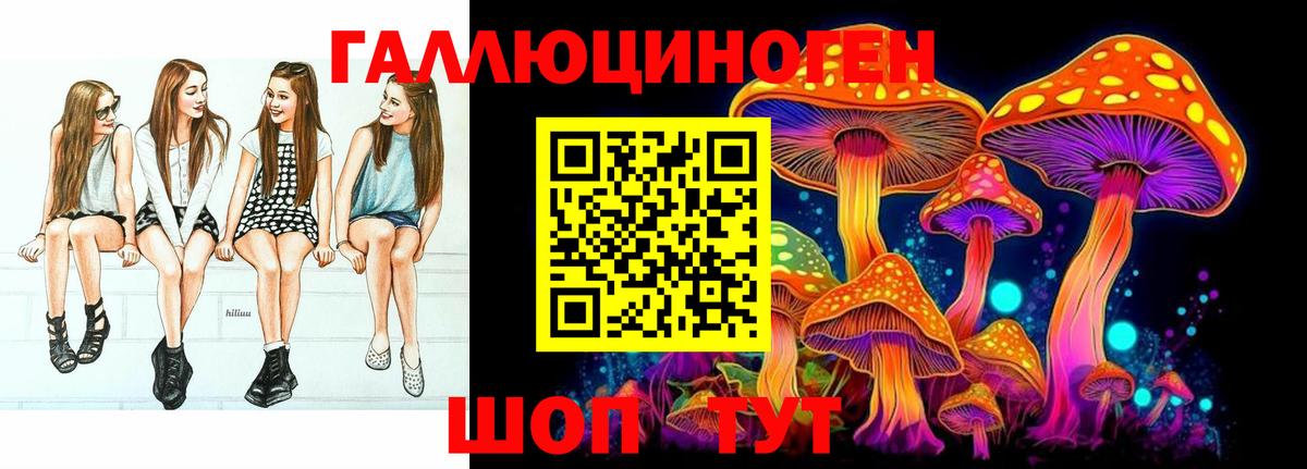 Псилоцибиновые грибы Psilocybe Кстово
